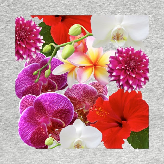 Summer blooms collage by peggieprints